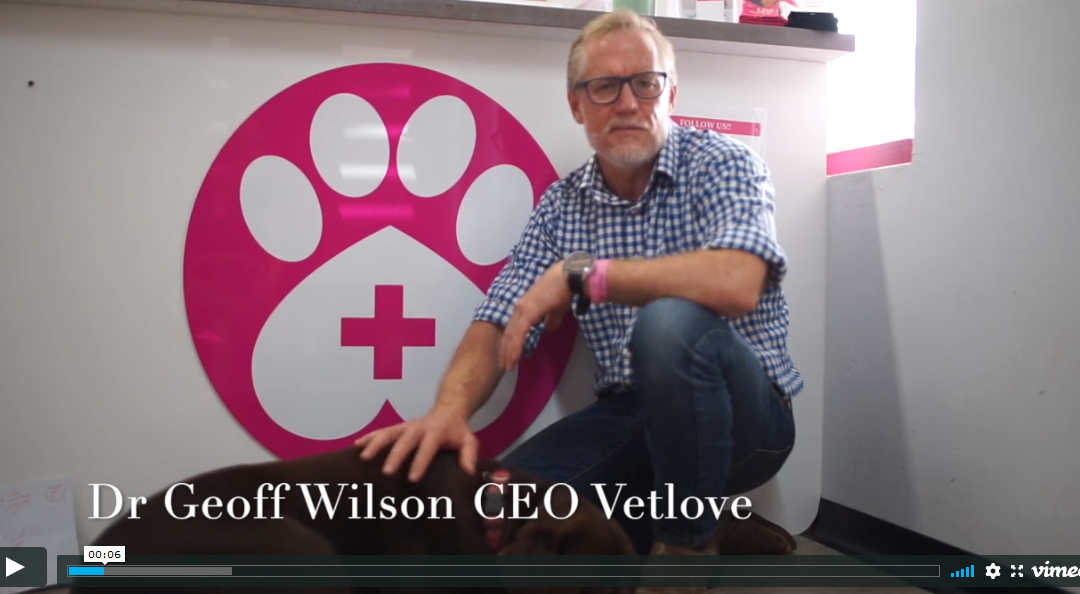 Help Us Keep Our Vets & Nurses Safe So We Can Keep You & Your Pets Safe