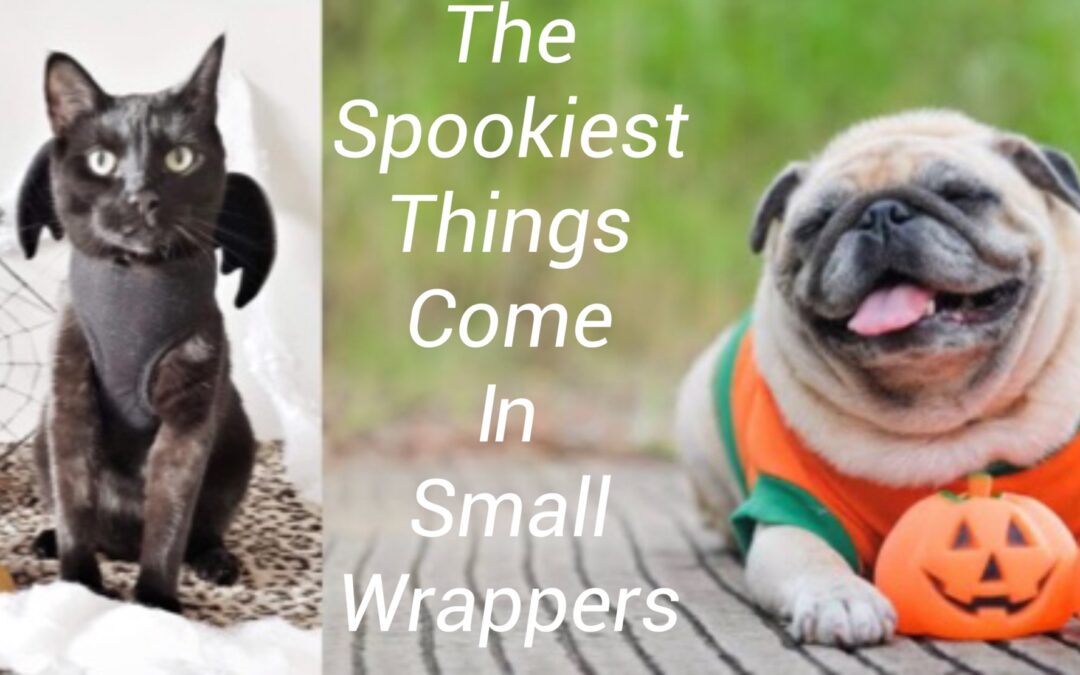 THE SPOOKIEST THINGS COME IN SMALL WRAPPERS!