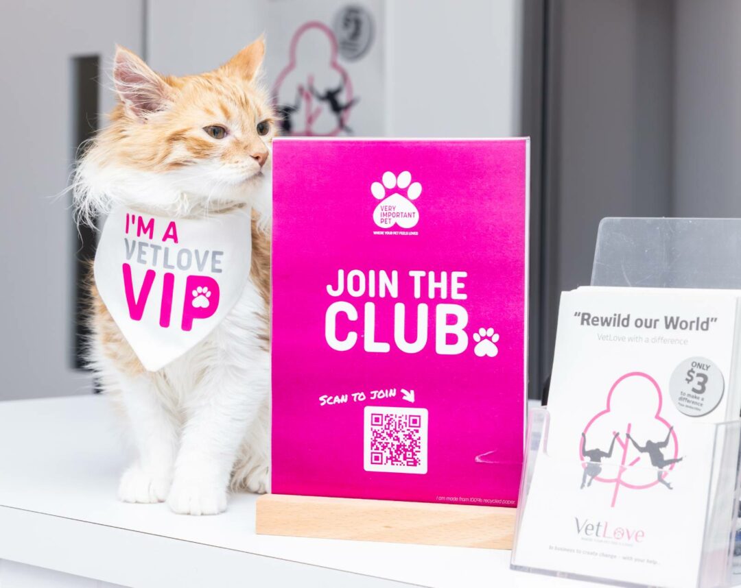 VIP - VetLove Central